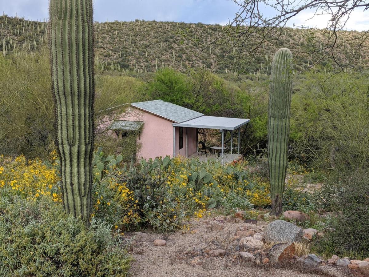 Saguaro Lake Ranch Fountain Hills Exteriér fotografie
